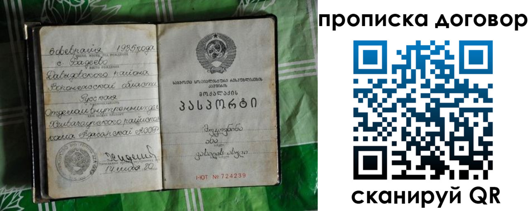 прописка в Белово